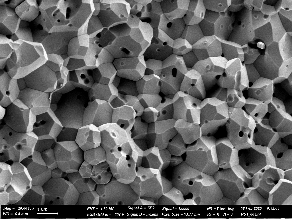 SEM micrograph of rapidly sintered alumina